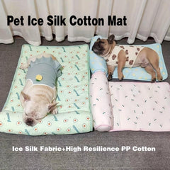 Anti Slip Pet Bed Mat with Pillow