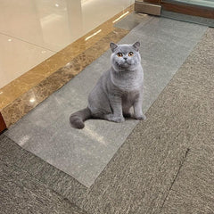 Cat Carpet Protector for Doorways