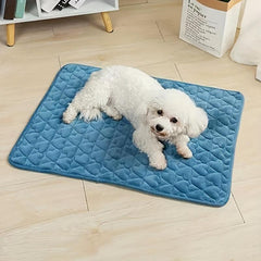 Warm Pet Bed Dog Mat Cat Mat Dog Bed