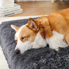 Removable Washable Pet Bed with Cushion