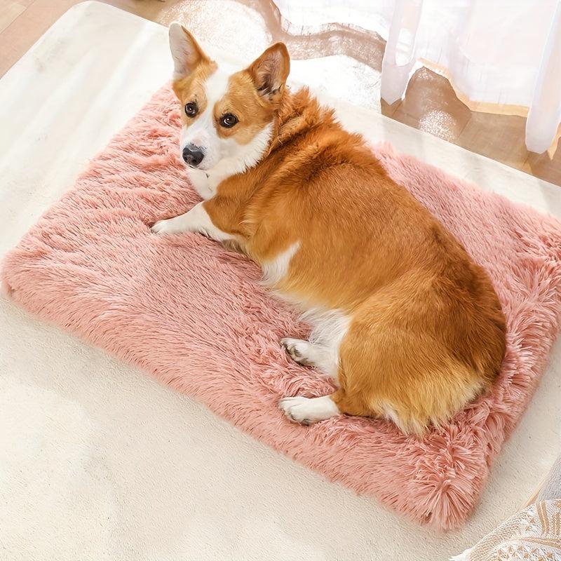 Removable Washable Pet Bed with Cushion
