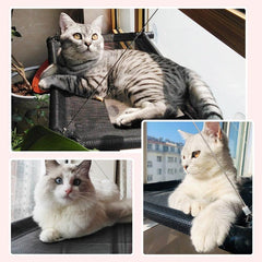 Cat Window Hammock Pet Bed Suction Cup Wall Hanging Pet Mesh Breathable Hammock