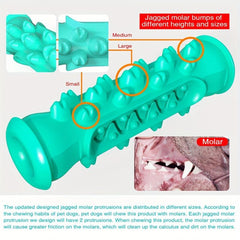 Dog Toothbrush Toy for Dental Care Chewable Bone Toy for Puppies