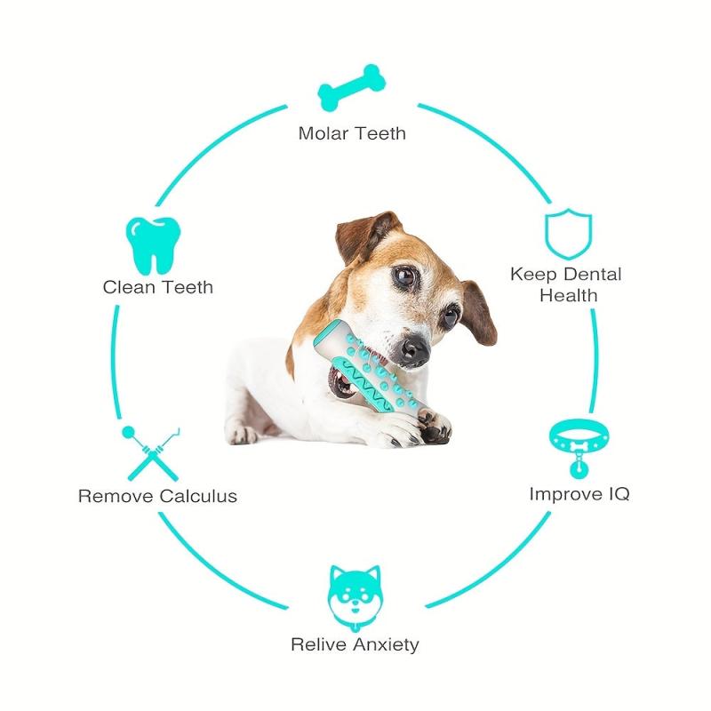 Dog Toothbrush Toy for Dental Care Chewable Bone Toy for Puppies