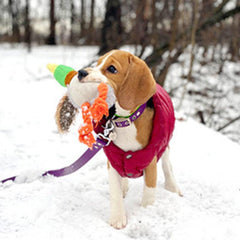 Plush Duck Sound Toy for Teething Dogs