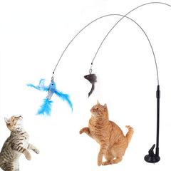 Sucker Feather Bird Toy with Bell for Kitten Play