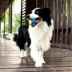 Interactive Dog Toy Pet Ball Squeaker Chew for Puppy Teeth Cleaning & Fun