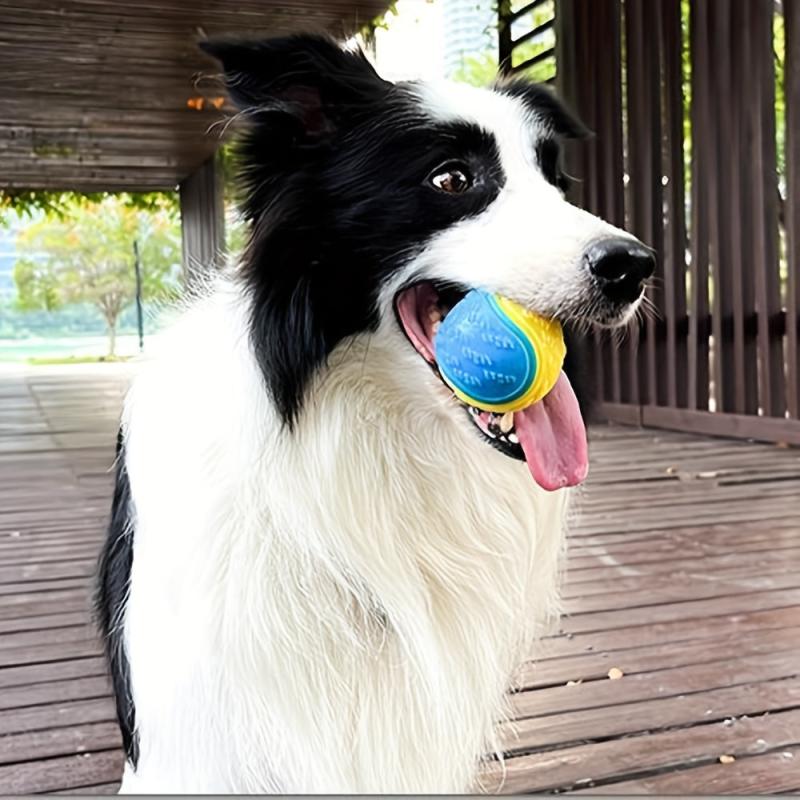 Interactive Dog Toy Pet Ball Squeaker Chew for Puppy Teeth Cleaning & Fun