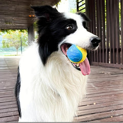 Interactive Dog Toy Pet Ball Squeaker Chew for Puppy Teeth Cleaning & Fun