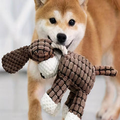 Cotton Rope Squeaky Toy For Dog Chew Toy