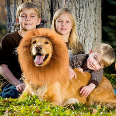 Lion Mane Dog Costume Realistic & Funny Lion Wig for Halloween Christmas Party