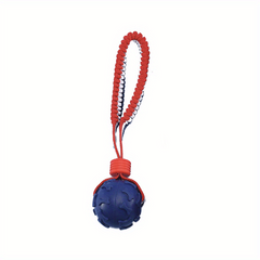Pet Supplies Dog Toy Bite Resistant Ball Elastic Rope Trainer Ball