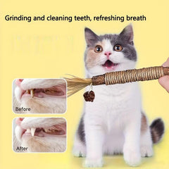 3pcs Cat Teeth Molar Sticks Natural Wooden Polygonum Cat Dental Care