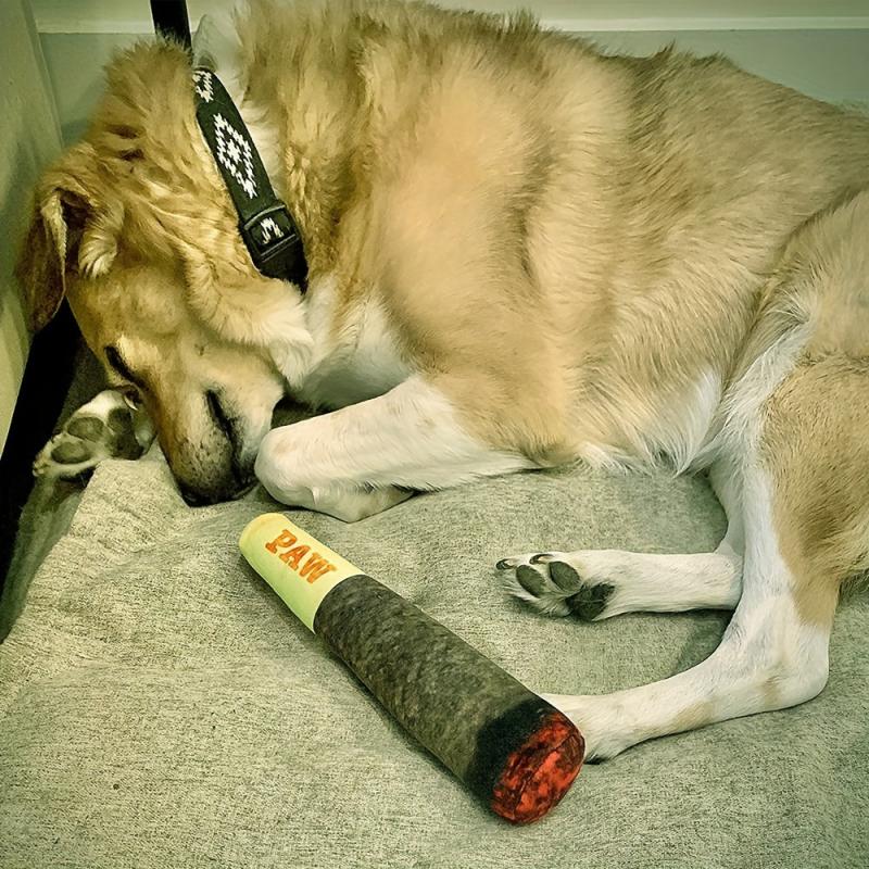 Cigar Pet Chew Toy for Dog Teeth Grinding