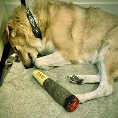 Cigar Pet Chew Toy for Dog Teeth Grinding