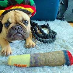 Cigar Pet Chew Toy for Dog Teeth Grinding
