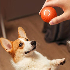 Durable Dog Chew Ball Toy - Interactive Pet Grinding Teeth Toy