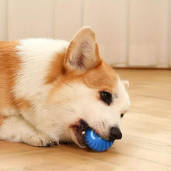 Durable Dog Chew Ball Toy - Interactive Pet Grinding Teeth Toy
