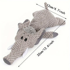 Durable Squeaky Dog Toys for Small & Medium Chewers