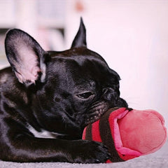 Squeaky Plush Dog Toy Durable Chew Toy