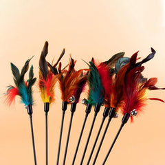 Feather Teasing Stick Interactive Cat Toy