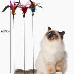 Feather Teasing Stick Interactive Cat Toy