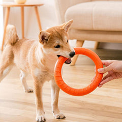 Ring Wear Bit Boredom Flying Disc Toy Dog Training Flight Loops Pet Toys