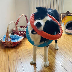 Ring Wear Bit Boredom Flying Disc Toy Dog Training Flight Loops Pet Toys