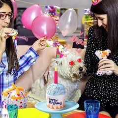 Dog Birthday Squeaky Cake Plush Toy for Teeth Health