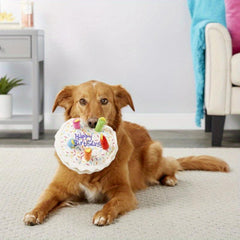 Dog Birthday Squeaky Cake Plush Toy for Teeth Health