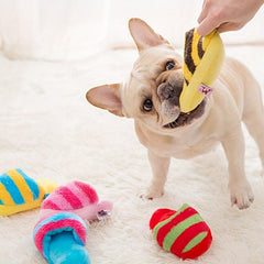 Slipper Pet Toy for Dogs and Cats Fun and Durable Plushies