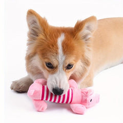 Dog Teething Chew Toy Outdoor Interactive Training Squeaky Toy