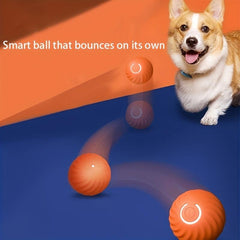 Automatic Rolling Ball Toy Dog Chew Ball Toy Pet Grinding Teeth Toy