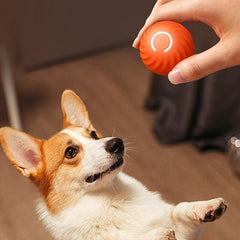 Automatic Rolling Ball Toy Dog Chew Ball Toy Pet Grinding Teeth Toy