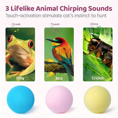 Interactive Cat Ball Toys for Fun and Exercise