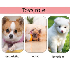 Mini Dog Crew Ball Toy for Teeth Grinding and Interactive Play