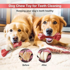 Dog Chew Toy for Teeth Cleaning and Interactive Play
