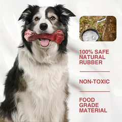Dog Chew Toy for Teeth Cleaning and Interactive Play