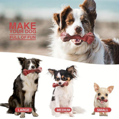 Dog Chew Toy for Teeth Cleaning and Interactive Play