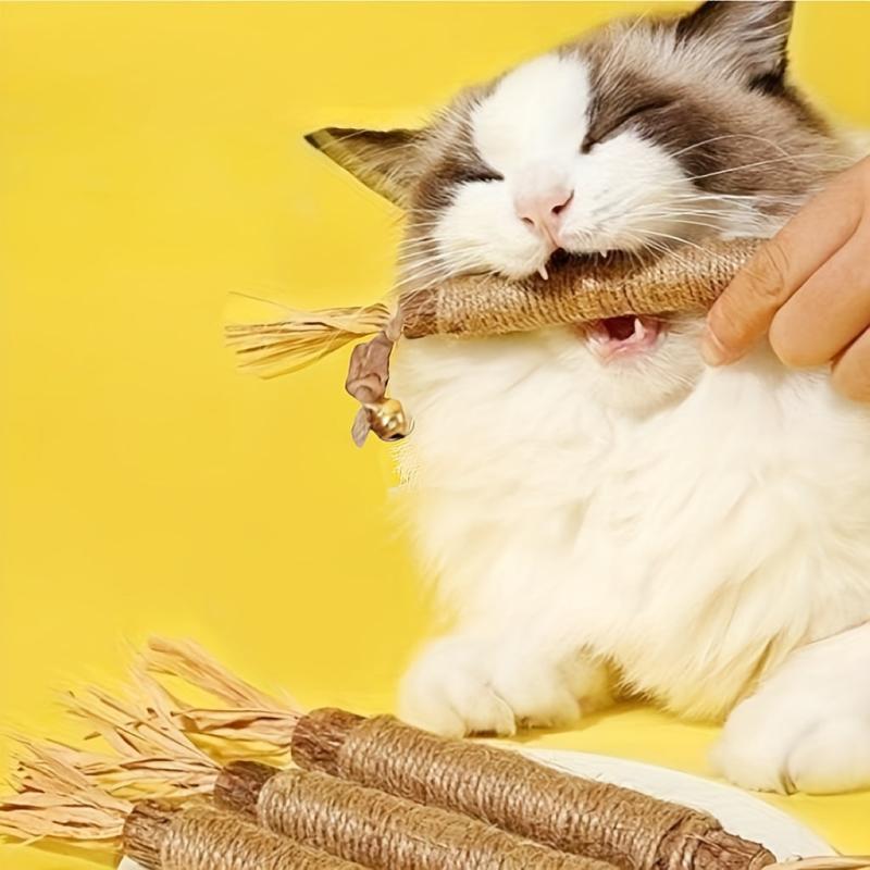 Cat Chew Toy For Teeth Cleaning Interactive Teeth Grinding Toy