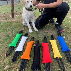Durable Dog Bite Stick for Training and Teeth Cleaning
