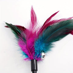 Colorful Feather Cat Toy Interactive Teaser Stick