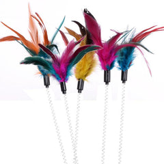 Colorful Feather Cat Toy Interactive Teaser Stick