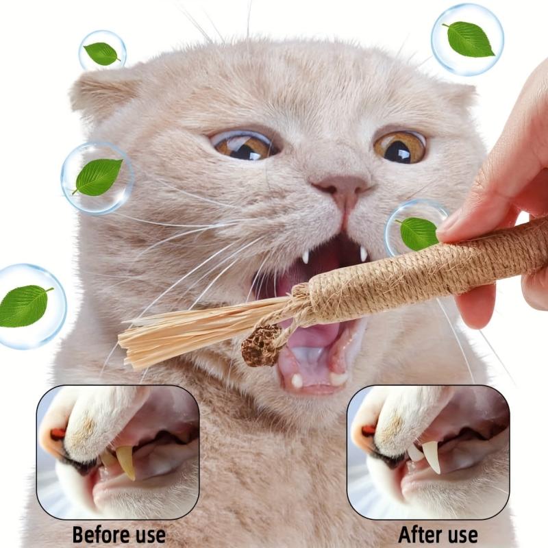 Cat Teeth Molar Silvervine Sticks Dental Care Supplies