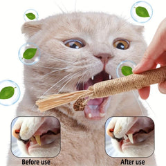 Cat Teeth Molar Silvervine Sticks Dental Care Supplies