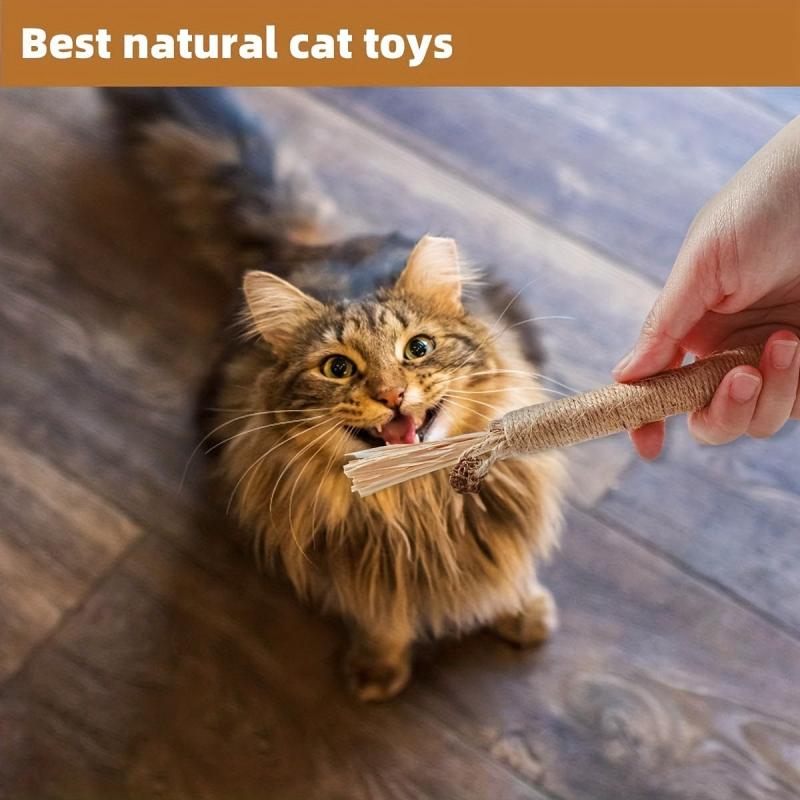 Cat Teeth Molar Silvervine Sticks Dental Care Supplies