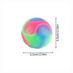 Interactive Luminous Dog Ball Toy - Chew & Chase Toy