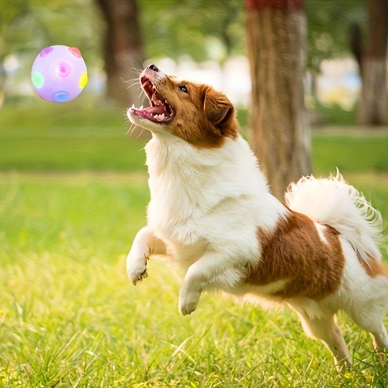 Interactive Luminous Dog Ball Toy - Chew & Chase Toy