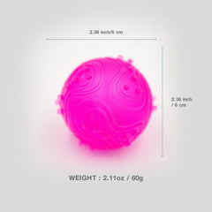 Luminous Sound Pet Ball Toy Interactive & Chew Squeaky Toy