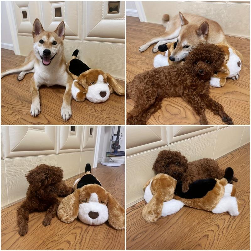 Anxiety Relief Heartbeat Stuffed Toy for Dog Cat